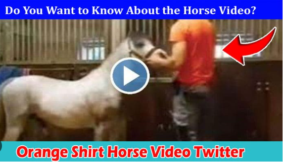 The Ultimate Guide to Horse Video Orange Shirt Guy on Reddit