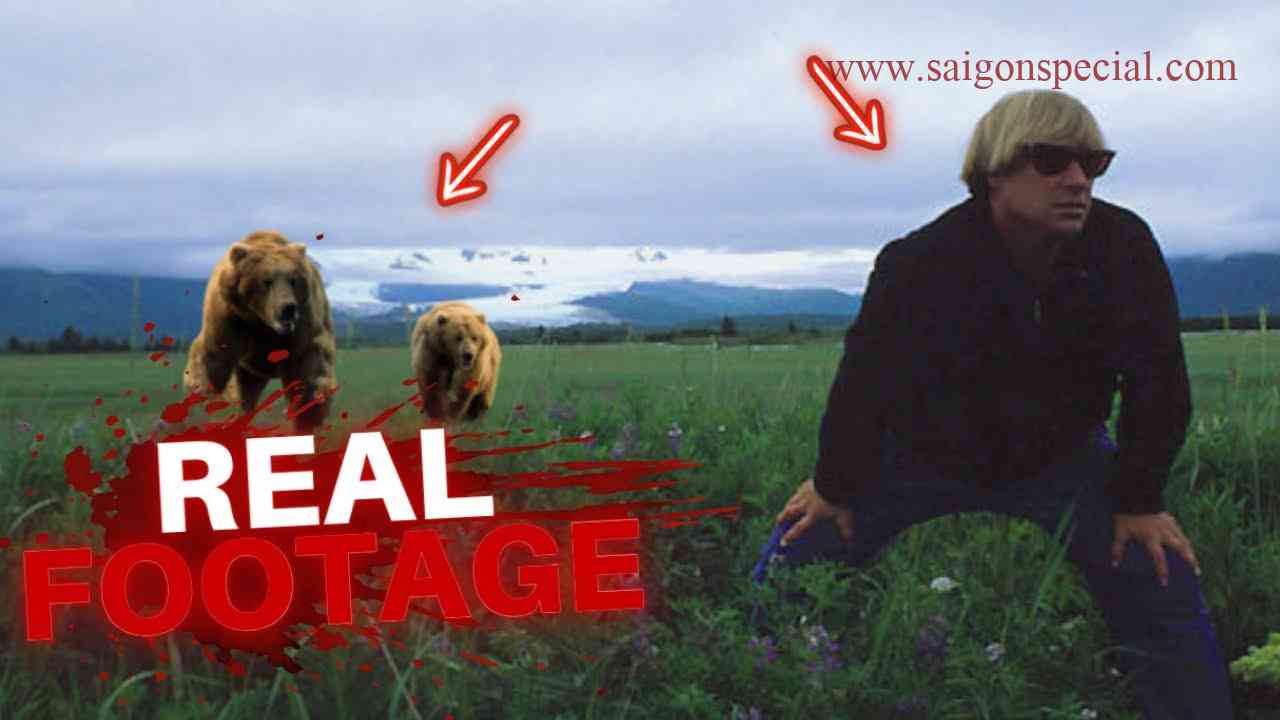 Timothy Treadwell Video Original Audio: Exceptional Insight